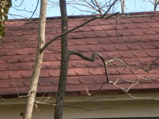 2010 acrylic application