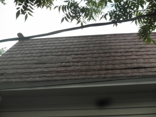 2012 photo of chimney repair