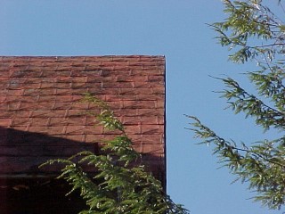 Shingles are rusty but lie flat on the decking