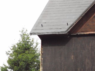 Closer look at the grey primer