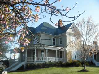 Virgin green shingle roof